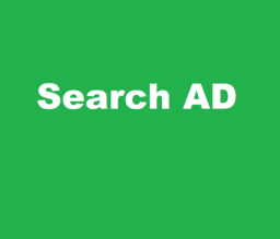 Google Search AD