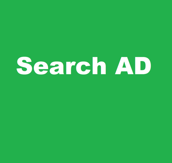 Google Search AD